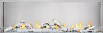 Galaxy GSS62 Outdoor Gas Fireplace | 62", Stainless Steel, Dual Fuel NG/LP, 376 lbs | Free Shipping