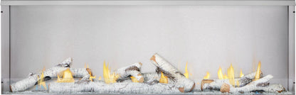 Galaxy GSS62 Outdoor Gas Fireplace | 62", Stainless Steel, Dual Fuel NG/LP, 376 lbs | Free Shipping