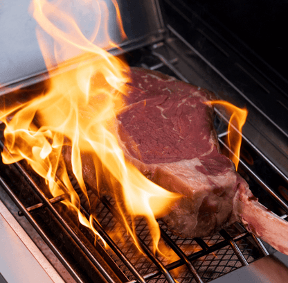 Monument Grills Eminence 405 | ClearView Smart Gas Grill with Bluetooth & LED Panel